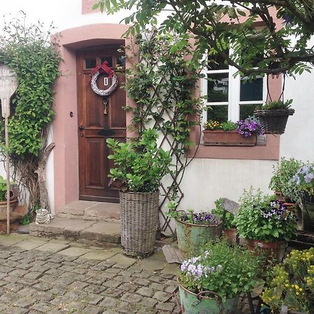 All Seasons Bed & Breakfast Kerpen  Εξωτερικό φωτογραφία